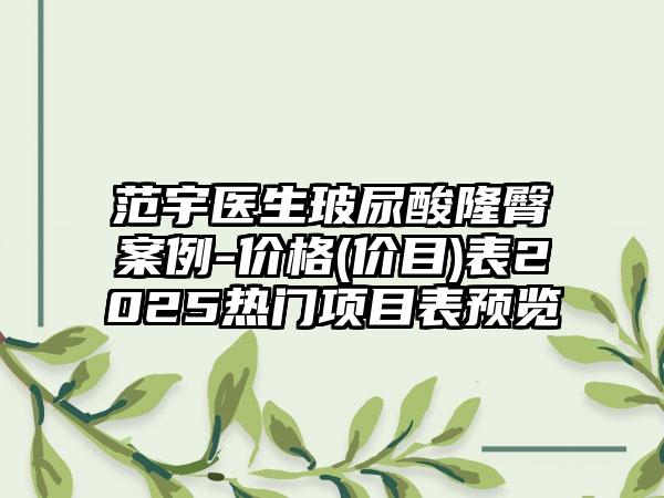 范宇医生玻尿酸隆臀案例-价格(价目)表2025热门项目表预览