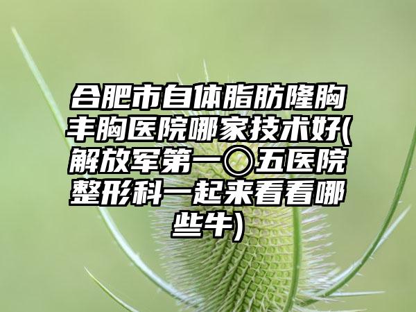 合肥市自体脂肪隆胸丰胸医院哪家技术好(解放军第一〇五医院整形科一起来看看哪些牛)