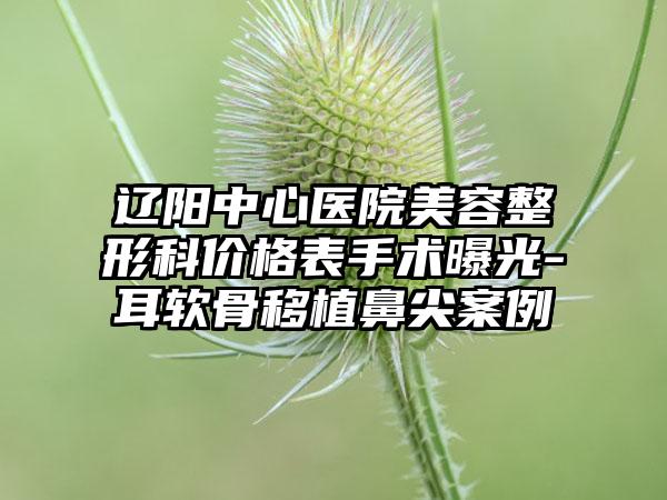 辽阳中心医院美容整形科价格表手术曝光-耳软骨移植鼻尖案例