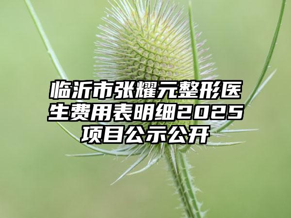 临沂市张耀元整形医生费用表明细2025项目公示公开