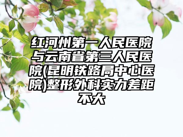 红河州第一人民医院与云南省第三人民医院(昆明铁路局中心医院)整形外科实力差距不大