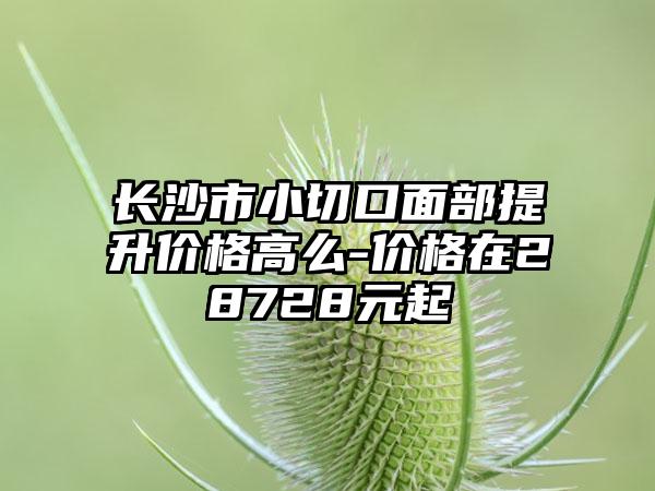 长沙市小切口面部提升价格高么-价格在28728元起