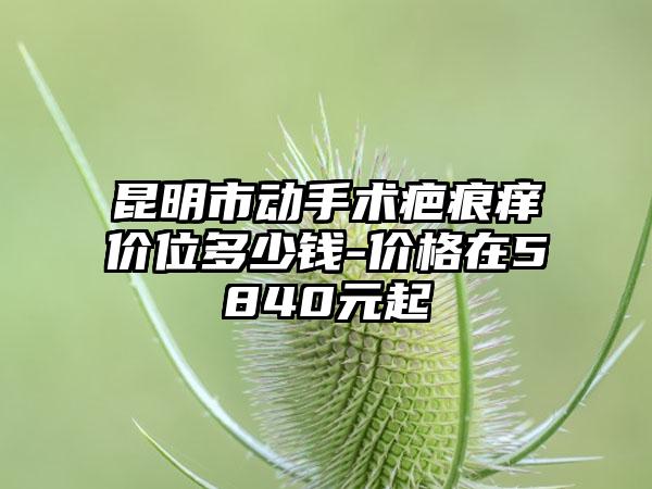 昆明市动手术疤痕痒价位多少钱-价格在5840元起
