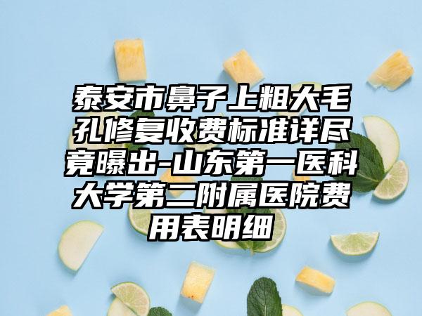 泰安市鼻子上粗大毛孔修复收费标准详尽竟曝出-山东第一医科大学第二附属医院费用表明细