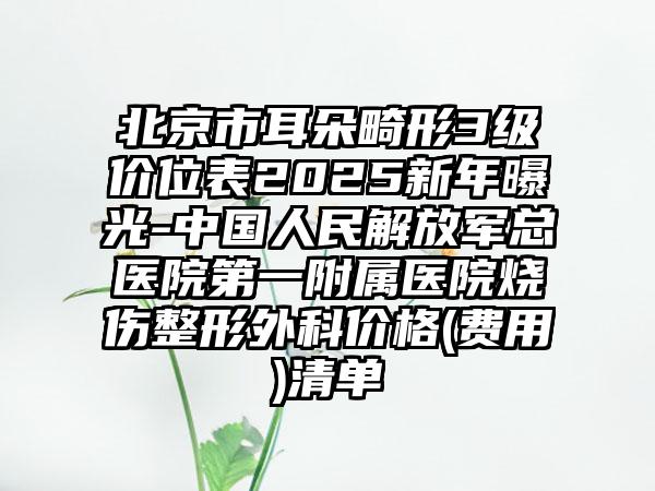 北京市耳朵畸形3级价位表2025新年曝光-中国人民解放军总医院第一附属医院烧伤整形外科价格(费用)清单