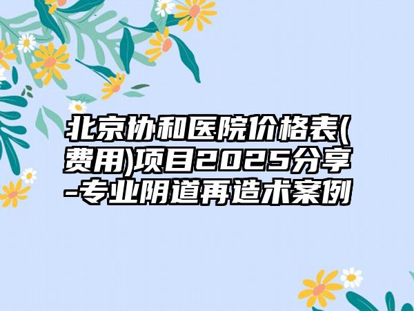 北京协和医院价格表(费用)项目2025分享-专业阴道再造术案例