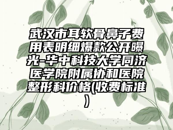 武汉市耳软骨鼻子费用表明细爆款公开曝光-华中科技大学同济医学院附属协和医院整形科价格(收费标准)