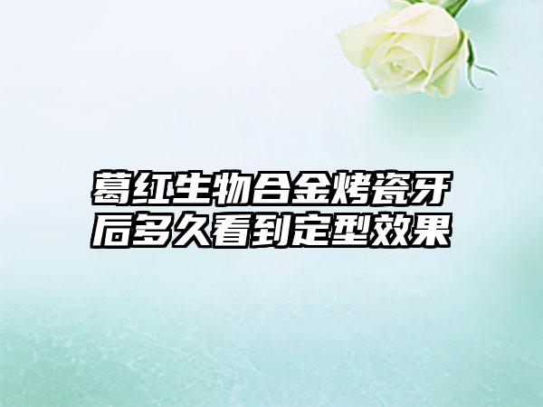 葛红生物合金烤瓷牙后多久看到定型效果