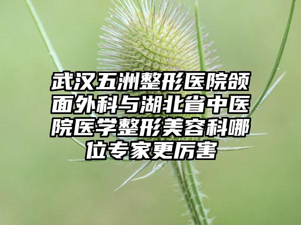 武汉五洲整形医院颌面外科与湖北省中医院医学整形美容科哪位专家更厉害