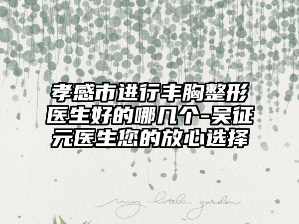 孝感市进行丰胸整形医生好的哪几个-吴征元医生您的放心选择