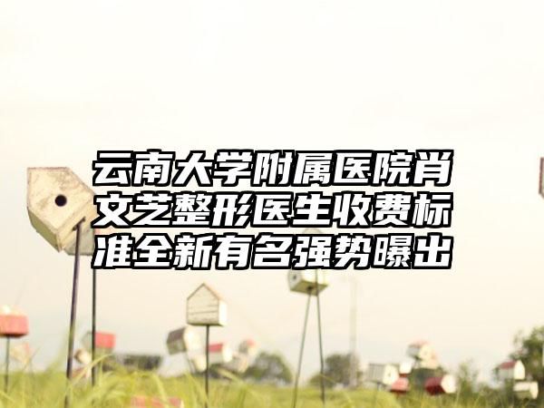 云南大学附属医院肖文芝整形医生收费标准全新有名强势曝出