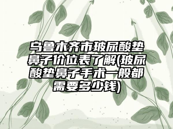 乌鲁木齐市玻尿酸垫鼻子价位表了解(玻尿酸垫鼻子手术一般都需要多少钱)