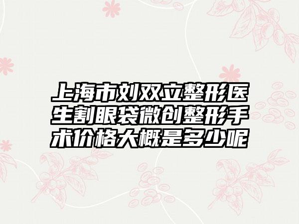 上海市刘双立整形医生割眼袋微创整形手术价格大概是多少呢