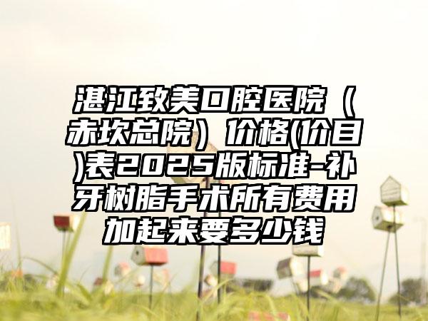 湛江致美口腔医院（赤坎总院）价格(价目)表2025版标准-补牙树脂手术所有费用加起来要多少钱