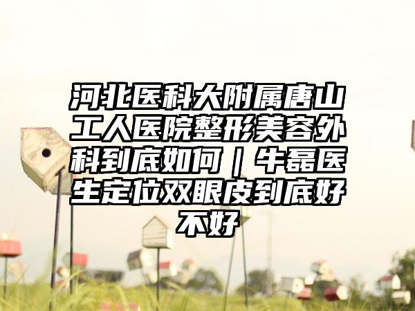 河北医科大附属唐山工人医院整形美容外科到底如何｜牛磊医生定位双眼皮到底好不好