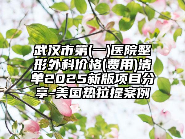 武汉市第(一)医院整形外科价格(费用)清单2025新版项目分享-美国热拉提案例